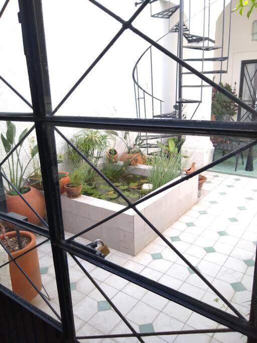 Willa Casa Cuauhtemoc Guadalajara Zewnętrze zdjęcie