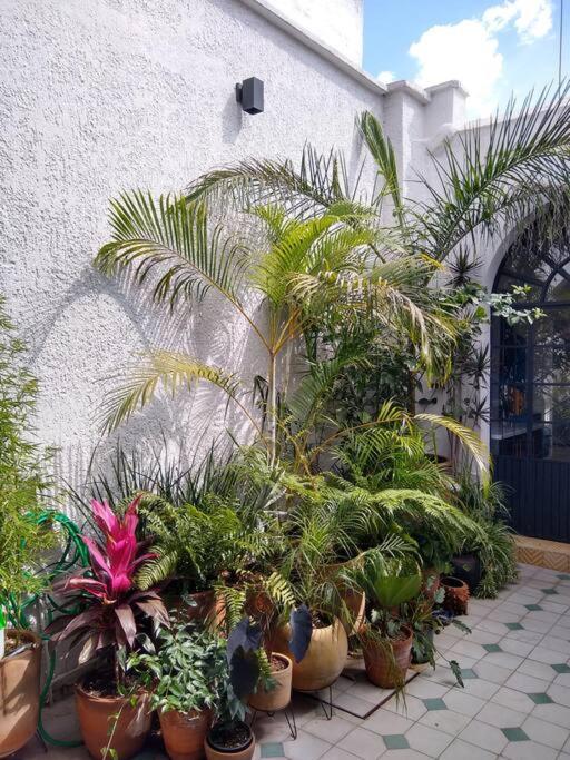 Willa Casa Cuauhtemoc Guadalajara Zewnętrze zdjęcie